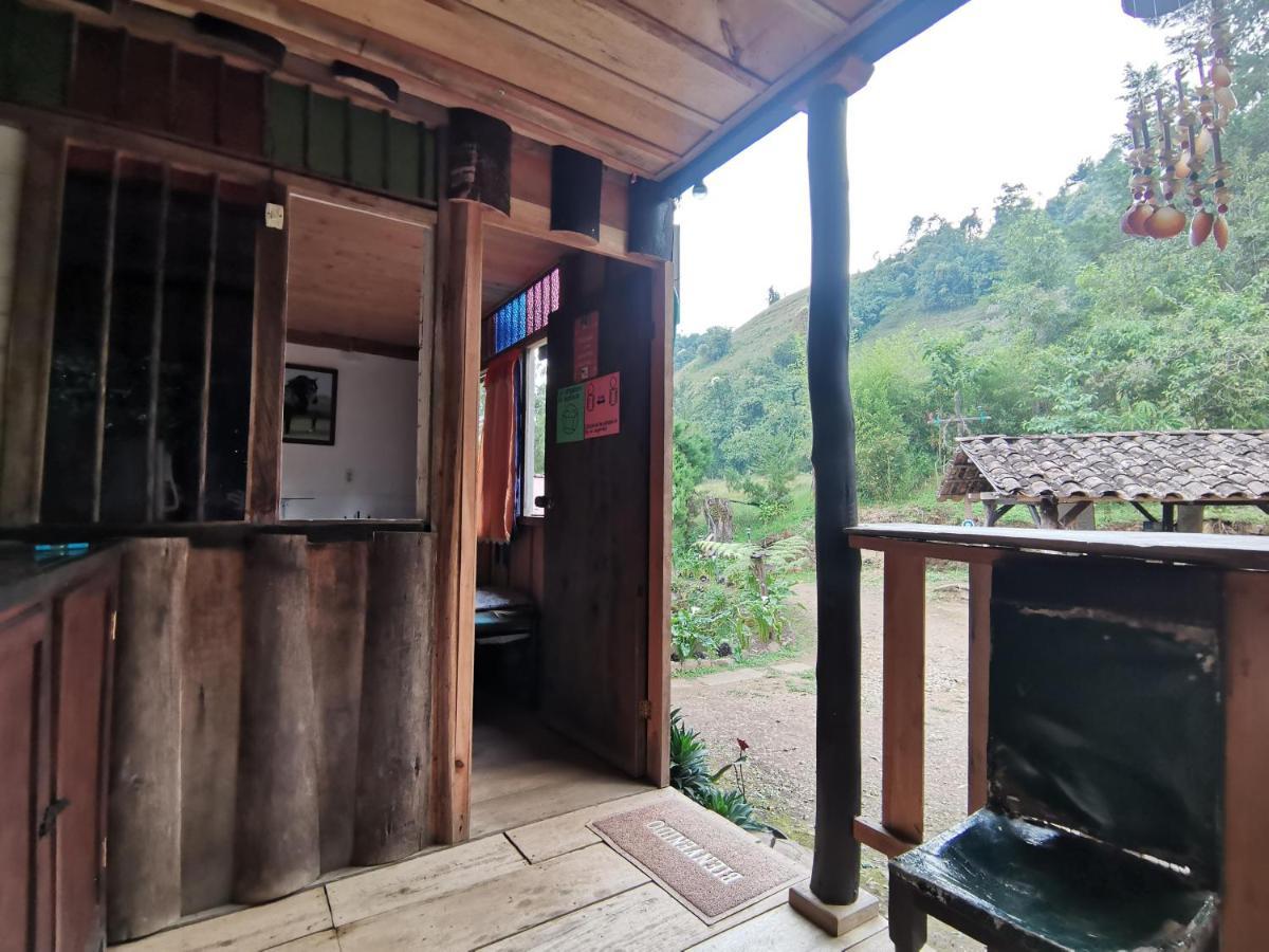 Cabaña La Isla Hostal Jardín Exterior foto